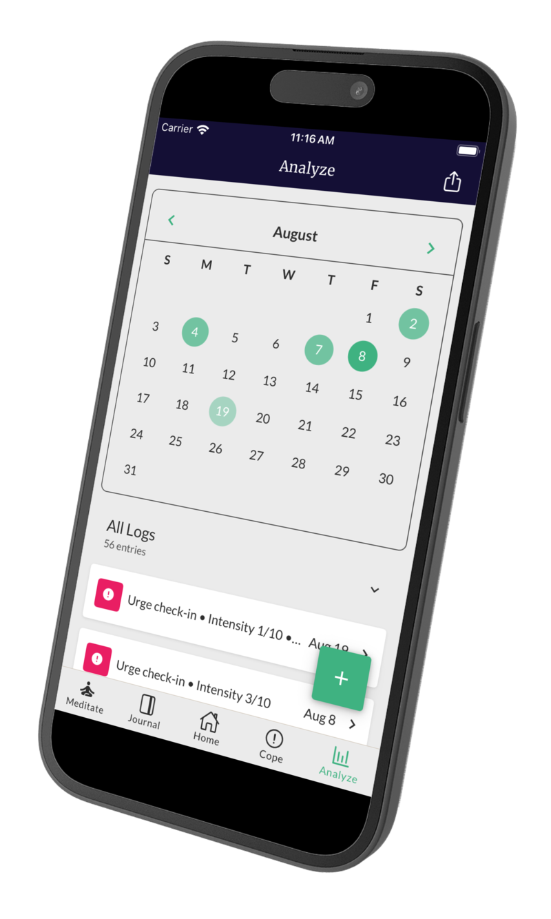Phone mockup showing app interface